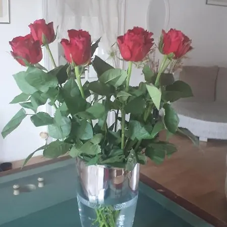 Bed & Breakfast D'hotes La Frise