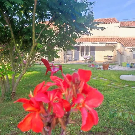 D'hotes La Frise Corpe