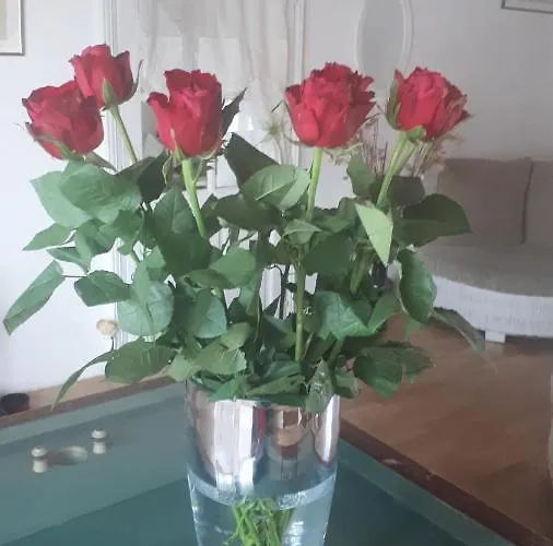 Bed & Breakfast D'hotes La Frise