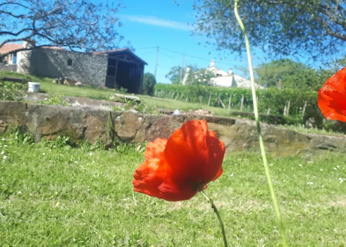 D'hotes La Frise Bed & Breakfast 3*